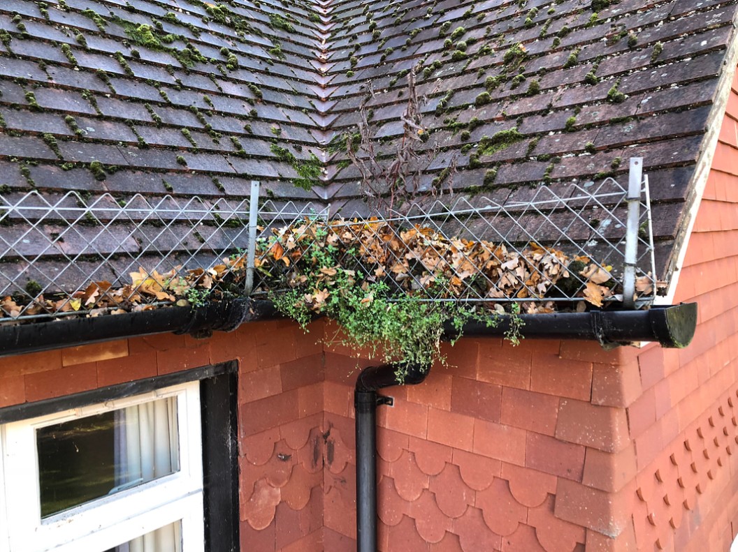 Heavily blocked downpipe before professional gutter cleaning